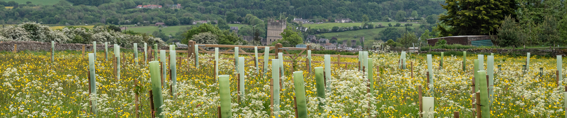 Rufus Woods with Richmond Castle